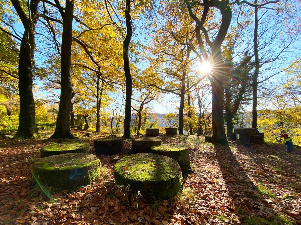 Burghof Kyffhaeuser Bad Frankenhausen Exteriér fotografie