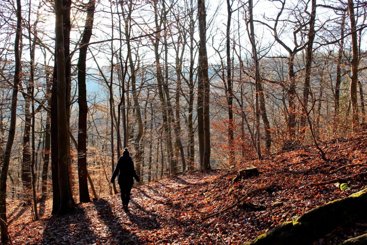 Burghof Kyffhaeuser Bad Frankenhausen Exteriér fotografie