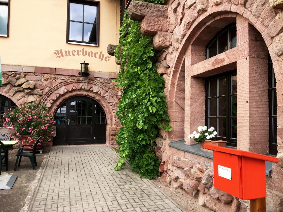 Burghof Kyffhaeuser Bad Frankenhausen Exteriér fotografie