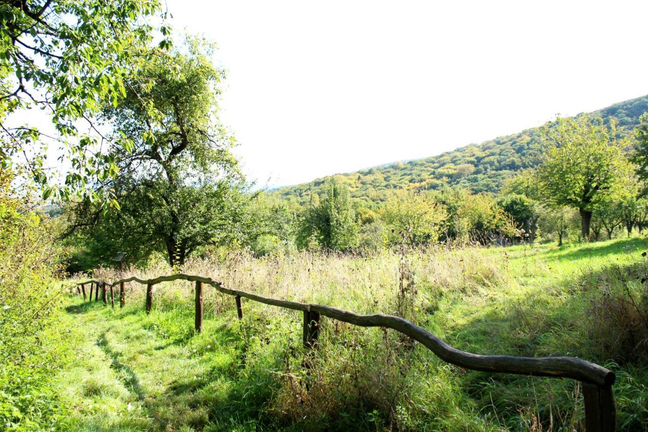 Burghof Kyffhaeuser Bad Frankenhausen Exteriér fotografie