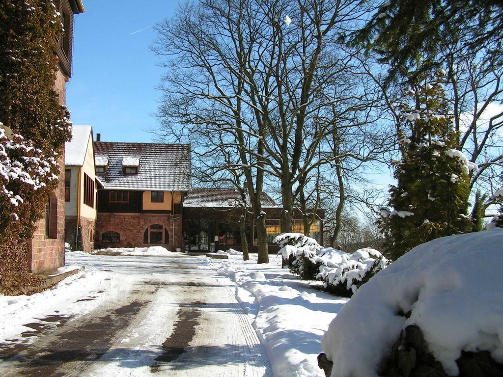 Burghof Kyffhaeuser Bad Frankenhausen Exteriér fotografie
